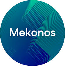 Read more about the article Portfolio Company #1 Mekonos raises oversubscribed USD$25 million round
